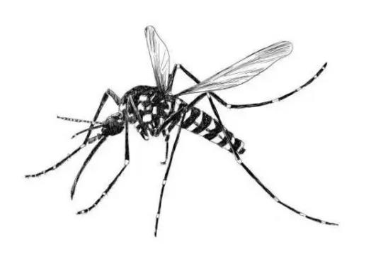 ��ʲô����һֱ�ڶ�߅�У���ô׌���Ӳ�ҧ�Լ�