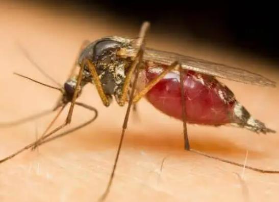 �������M������������ô�k���c��������������߀�Ǖ���