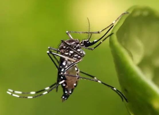 �����Ӈ���ˮ���Æ᣿����ˮ��������ӆ�