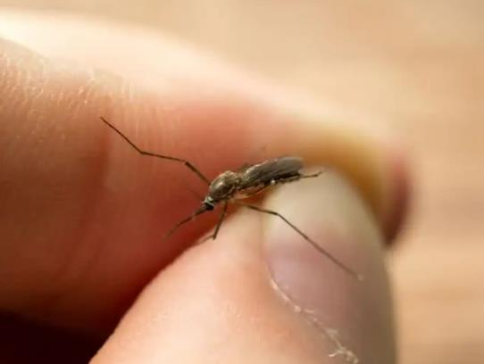 �����Ӈ���ˮ���Æ᣿����ˮ��������ӆ�