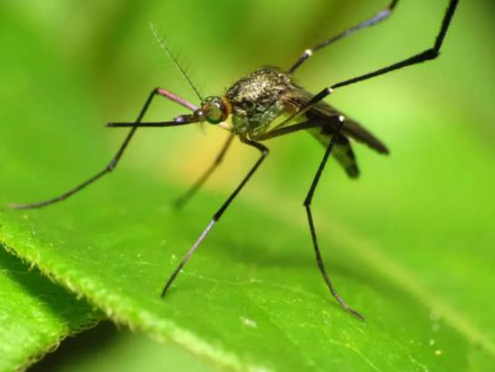 ������ҧ�˲�ʲôֹ�W��������ҧ�˕���������