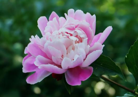 �W(w��ng)���I����ˎ��ʲô���_������ˎ���Ƕ�����_��