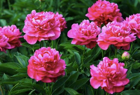 ��ˎ���_���ǼٵĆ᣿��ˎ����һ���_���L�r�g