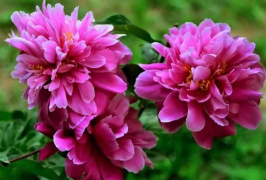 ��ˎ���_���ǼٵĆ᣿��ˎ����һ���_���L�r�g