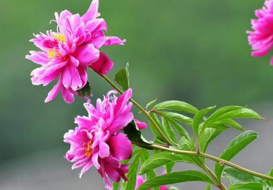 ��ˎ����Ҫ�ѻ��᣿ˮ�B��ˎ��αM���_��