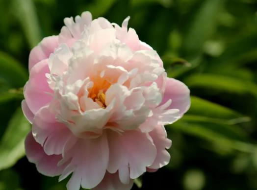 ��ˎ����Ҫ�ѻ��᣿ˮ�B��ˎ��αM���_��