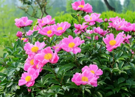 ˮ�B��ˎ��ע��Щʲô��헣�ˮ�����ˎ�����B���