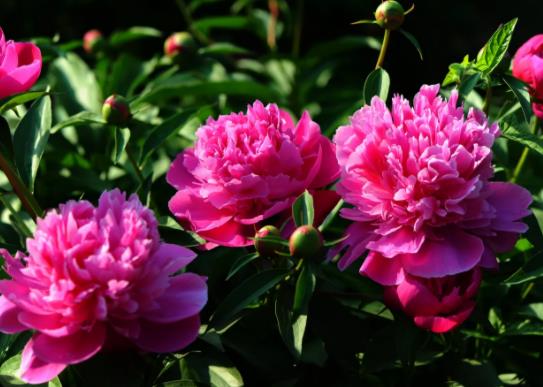 ˮ�B��ˎ��ע��Щʲô��헣�ˮ�����ˎ�����B���