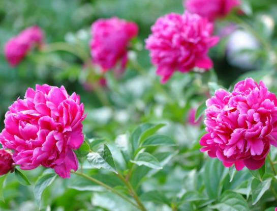 ˮ�B��ˎ��ע��Щʲô��헣�ˮ�����ˎ�����B���