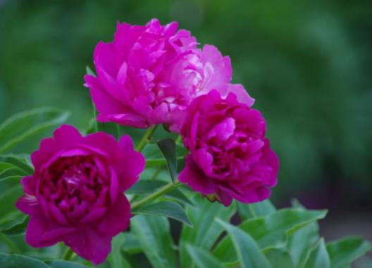 ��ˎ�r�л���ˮ�B(y��ng)߀�ǜ\ˮ�B(y��ng)�������Ե���ˎ�����_��