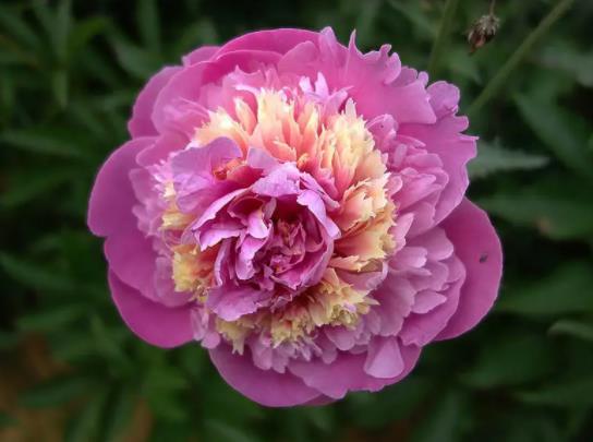 ��ˎ��ʲô�й�������ʲô���ﲻ���B(y��ng)��ˎ��