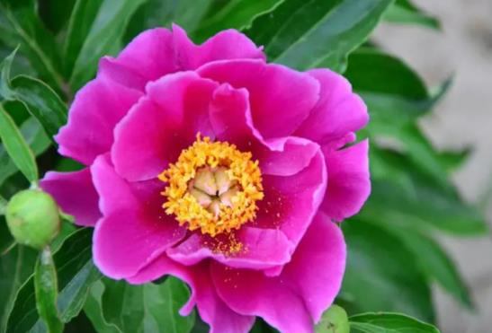 ��ˎ��ʲô�й�������ʲô���ﲻ���B(y��ng)��ˎ��