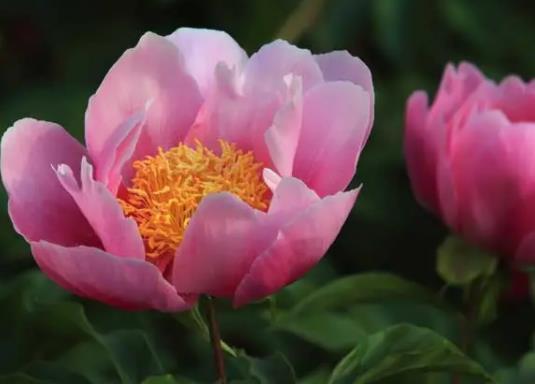 ��ˎ��ʲô�й�������ʲô���ﲻ���B(y��ng)��ˎ��