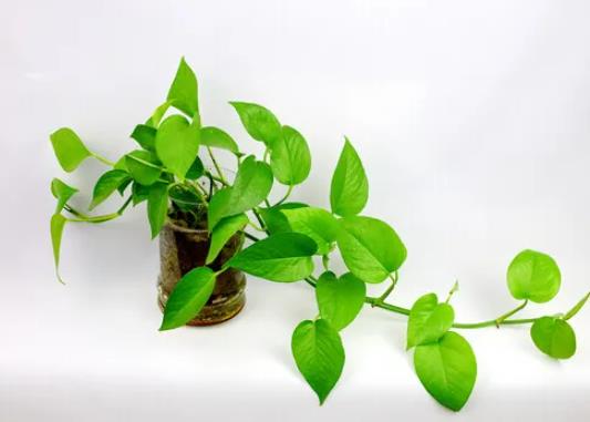 ˮ��G�}��������ô�k���G�}�޼�����ô�B(y��ng)�o