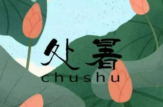 ̎����ζ��ʲô�ӵĚ��׃����̎��������ʲô׃��