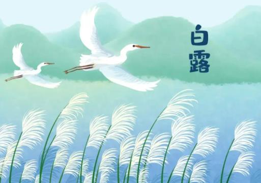 2022��¶�ܴ�����᣿2022��¶�����_(k��i)ʼ��