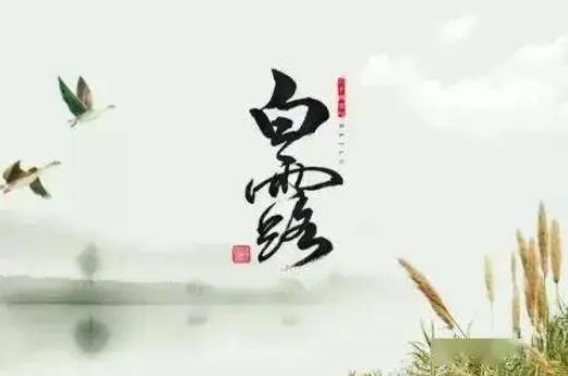 白露后穿長(zhǎng)袖還是穿短袖?白露過后是否還有高溫天氣 白露后穿長(zhǎng)袖還是穿短袖?白露過后是否還有高溫天氣