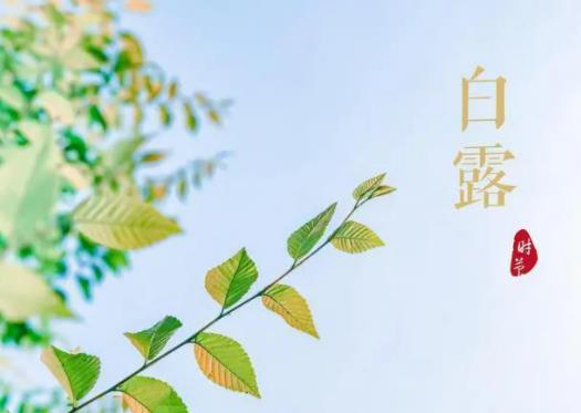 ��¶�^����ˮ�಻�ࣿ��¶�^���ʲô߀��ô��