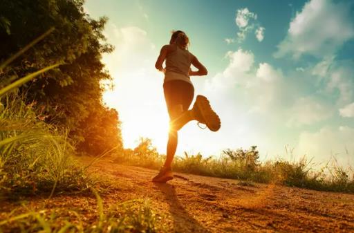 �����\��Ó֬����Ч����������ǲ�����ȼ����·��