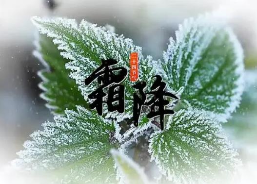 2022��˪���䲻�䣿2022˪���^����ѝ��