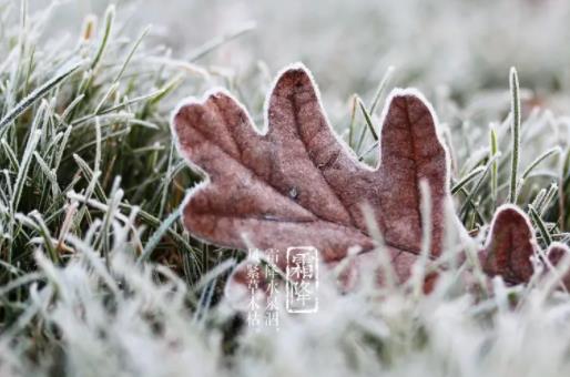 2022��˪���ǲ��Ǿ��_ʼ��˪�ˣ�˪���ضȕ��ܵ͆�