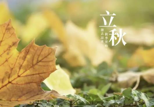 晚上立秋有什么說法?立秋天氣有什么變化 晚上立秋有什么說法?立秋天氣有什么變化