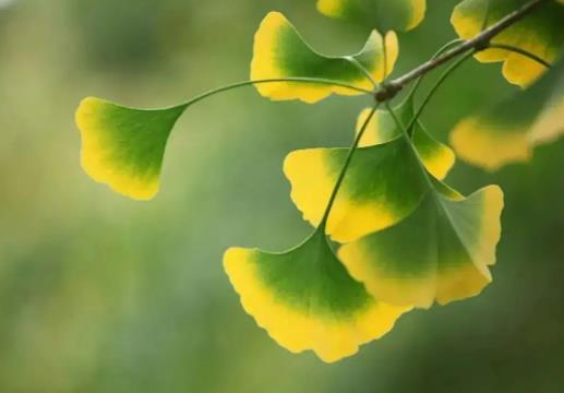 2022�V�|��������ϕ�����᣿2022�V�|������òś���