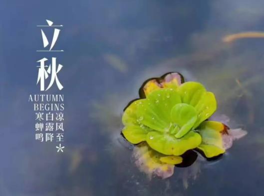 ����֮�������ô�ӣ�2022�V�|�����߀��(hu��)�ܟ��