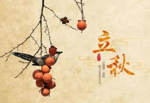 2022��������ضȴ���ж��ٶȣ�2022���������ͬ����