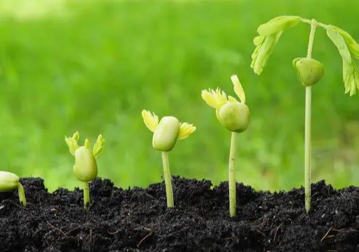 �N�ӷŵ��ڶ���߀�ܷN�᣿���N��Ҫ�ݶ�ò��ܷN