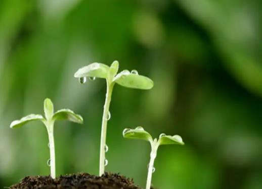 ��ʲô�N�Ӱlѿ��������ˣ��N����ô�߰lѿ