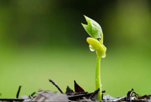 ��ʲô�N�Ӱlѿ��������ˣ��N����ô�߰lѿ