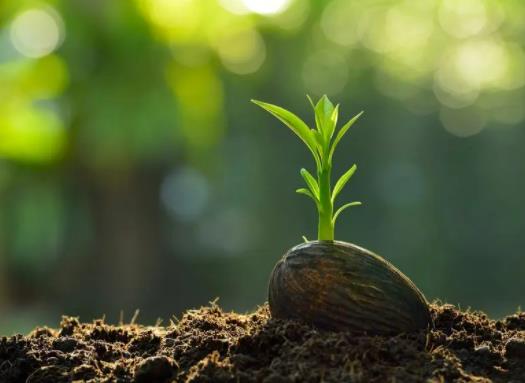 ��ʲô�N�Ӱlѿ��������ˣ��N����ô�߰lѿ