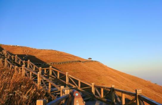 �书ɽסʲô�Ƶ꿴�ճ��ã��书ɽɽ�?sh��)�ס�ޗl����ô��