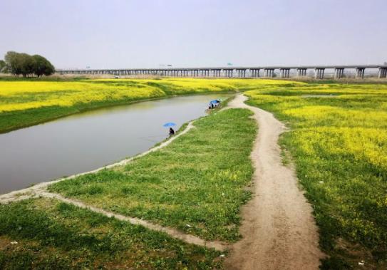 武漢府河濕地公園好玩嗎?武漢府河濕地公園可以燒烤嗎 武漢府河濕地公園好玩嗎?武漢府河濕地公園可以燒烤嗎