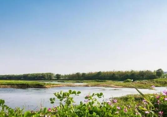 武漢府河濕地公園好玩嗎?武漢府河濕地公園可以燒烤嗎 武漢府河濕地公園好玩嗎?武漢府河濕地公園可以燒烤嗎