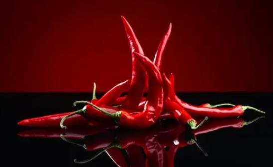 ����߿��Գ������᣿��ô���������ϻ�