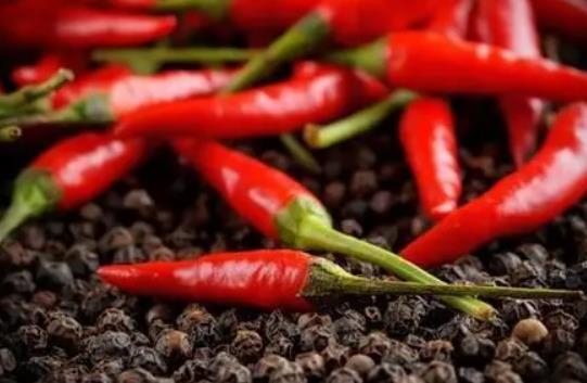 ��������Գ������᣿�������Զ�Ԇ᣿