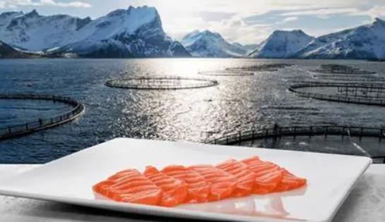 ���������~��Ҫ��ô̎���������~β���ж�����Ć᣿