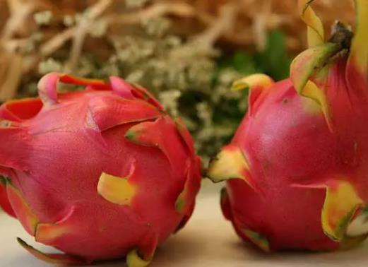 火龍果加熱吃有什么效果?火龍果里面是透明的是怎么回事 火龍果加熱吃有什么效果?火龍果里面是透明的是怎么回事