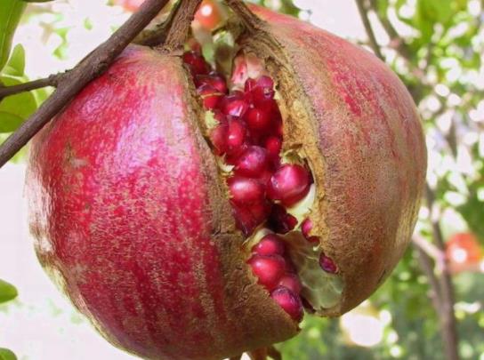 �·��ϵ�ʯ��֭��ʲôϴ��ʯ��֭��ϴ��Һ��ϴ���