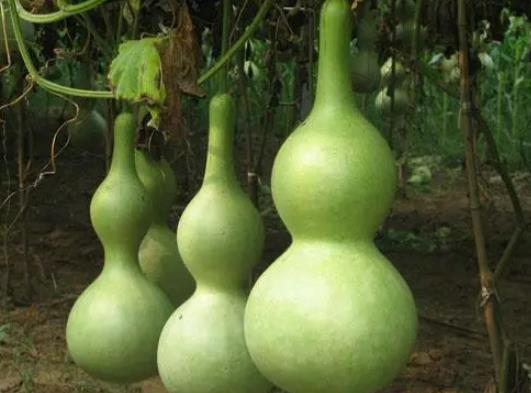 ���i���܎����J�᣿���J�ǲ��ǲ��ܒ�һ��(du��)