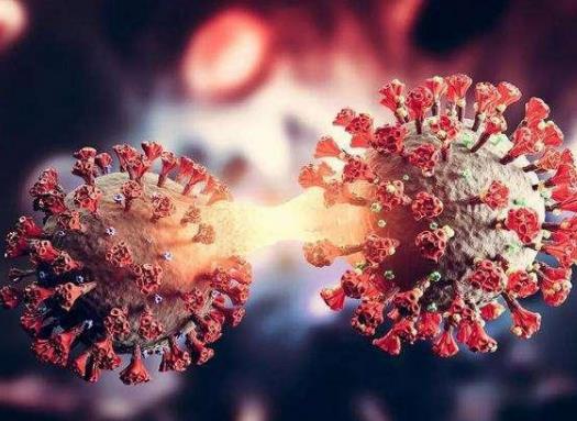 �����¹ڷο�ȳ���(l��i)����ô�k���l(f��)������ԭһ�l�����¹چ�