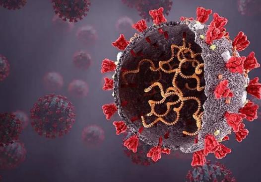 �����¹ڷο�ȳ���(l��i)����ô�k���l(f��)������ԭһ�l�����¹چ�