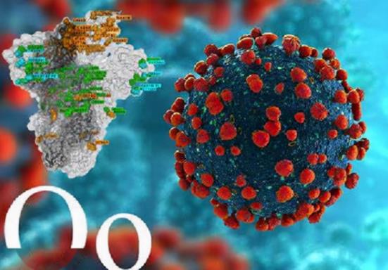 �����¹ڷο�ȳ���(l��i)����ô�k���l(f��)������ԭһ�l�����¹چ�