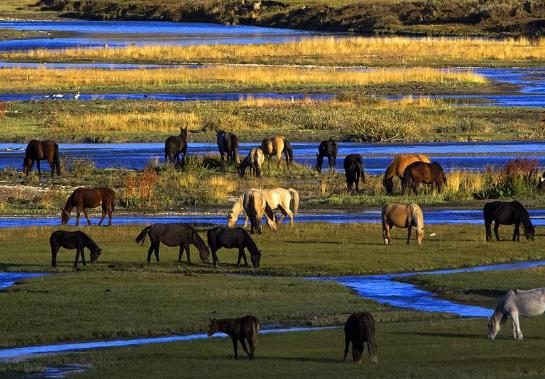 新疆十大最受歡迎的景點(diǎn),天山天池、喀納斯景區(qū)都如仙境般的存在 新疆十大最受歡迎的景點(diǎn),天山天池、喀納斯景區(qū)都如仙境般的存在