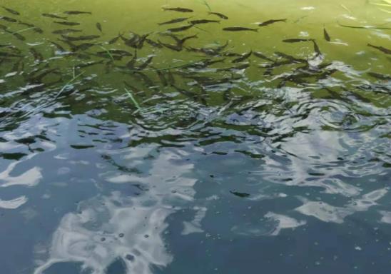 1655255814555169.jpg 360截圖20220615091517581.jpg