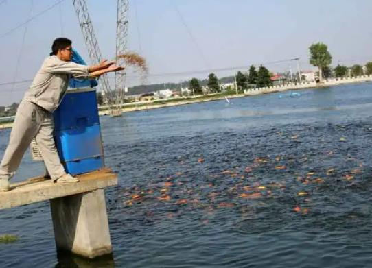 1655255819667751.jpg 360截圖20220615091526109.jpg