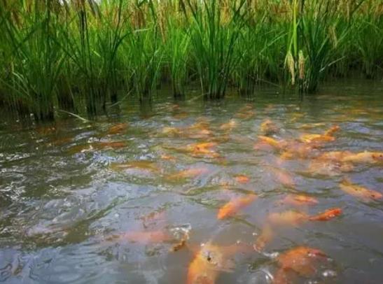 1655256205565421.jpg 360截圖20220615091555845.jpg