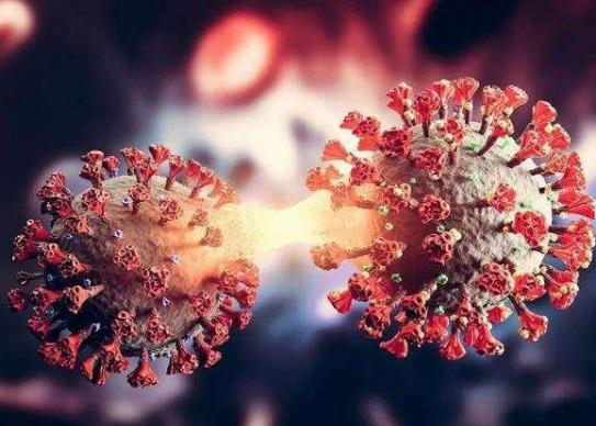 新冠味覺(jué)嗅覺(jué)消失怎么治療?陽(yáng)康后咳嗽不停怎么辦 新冠味覺(jué)嗅覺(jué)消失怎么治療?陽(yáng)康后咳嗽不停怎么辦